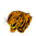 Hull City FC